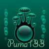 puma133