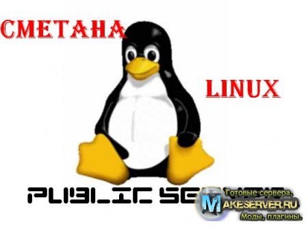 Public Server by CMETAHA (Linux)