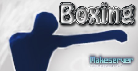 BOXing_server_by_TBicTep