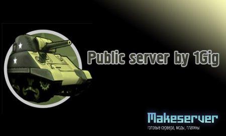 Public Server by 1Gig
