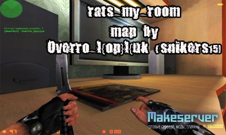Rats_my_room
