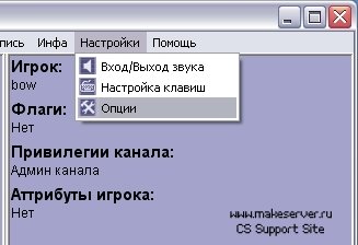 Настройка TeamSpeak