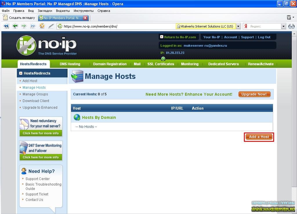 Noip com. Клиент. DNS hosts. Cybergate. Host Monitor.